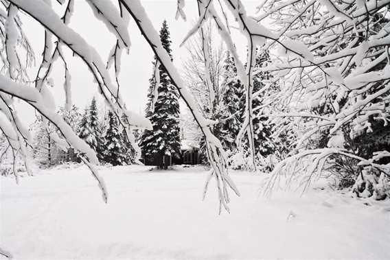 Chalets Arseneault