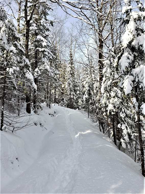 Chalets Arseneault