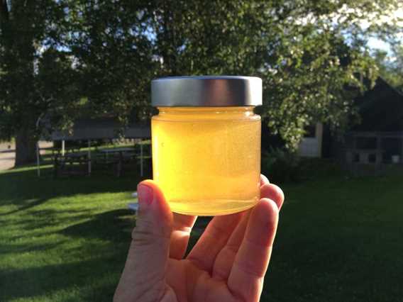 miel-de-chez-nous-honey-product