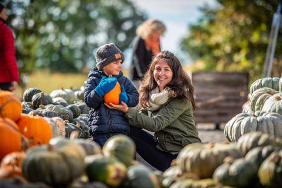 Famille qui ramasse des courges à La Courgerie