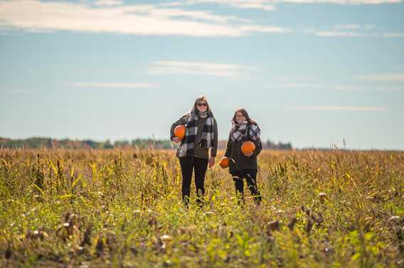 Filles dans un champ à La Courgerie