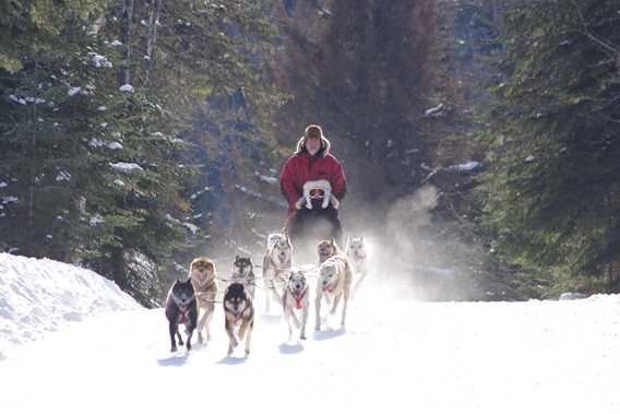 evasion-nature-expedition-k9-dogsledding