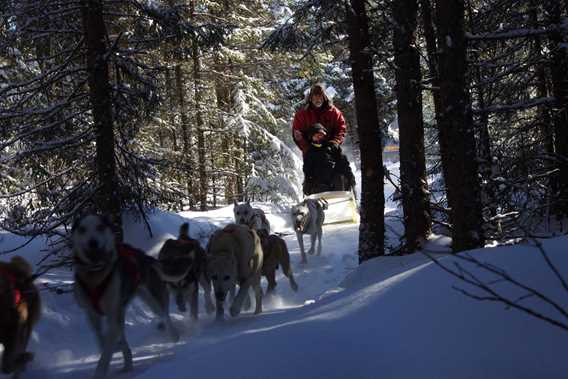 evasion-nature-expedition-k9-chiens-traineau