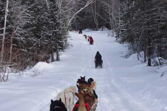 evasion-nature-expedition-k9-dogsledding