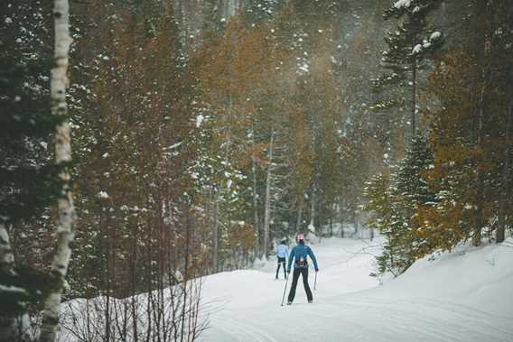 Parc régional de la Forêt Ouareau