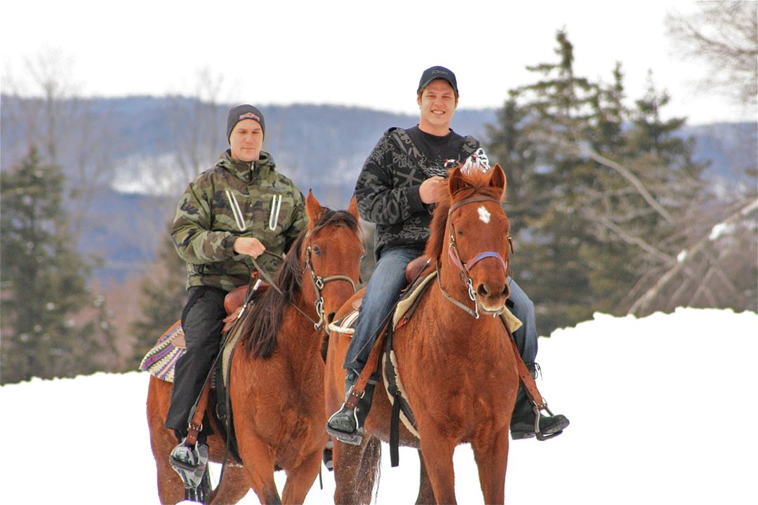 Domaine-Sam-Calm-equitation-hiver