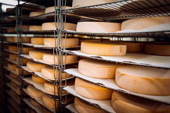 Fromagerie du Champ à la meule