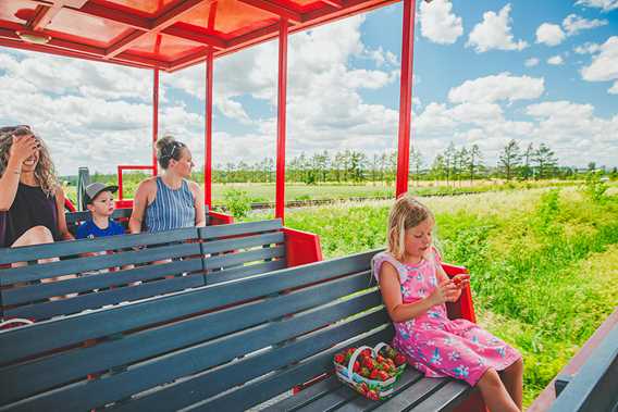 Ferme Cormier