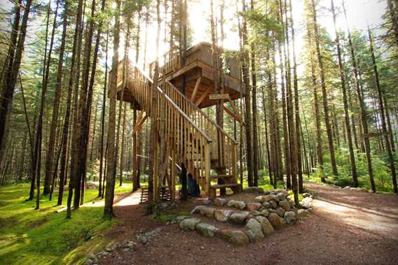 Kabania-cabins-in-the-trees