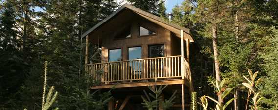 Kabania-cabins-in-the-trees