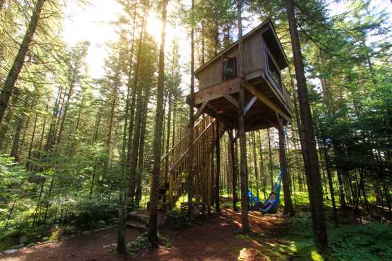 Kabania-cabins-in-the-trees