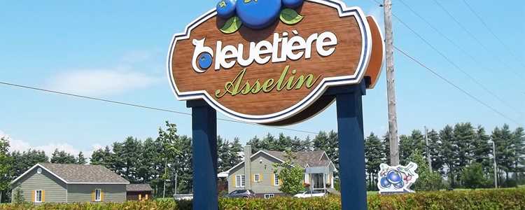 Bleuetière Asselin