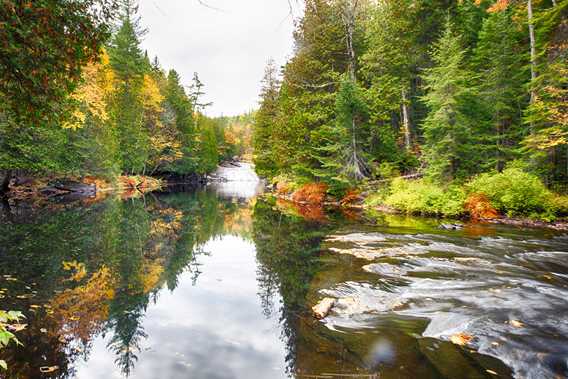 Parc régional des chutes du Calvaire en automne