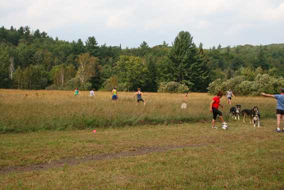 Activité de groupe en été à Kinadapt