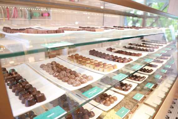 Display of fine chocolates at Chocolaterie