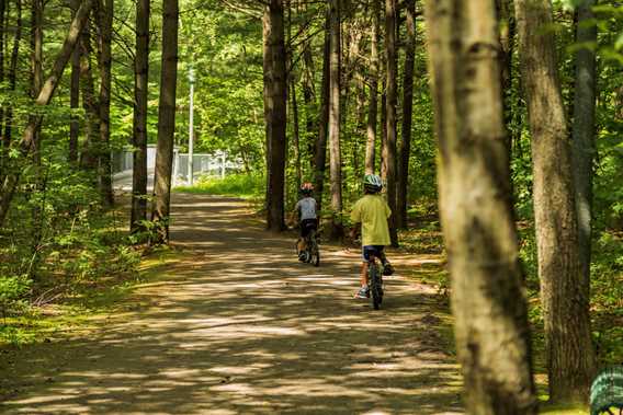 Bicycle circuit TransTerrebonne