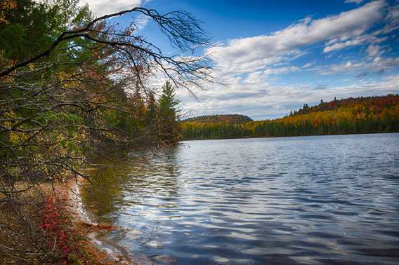 Les Sentiers du Lac en Coeur in fall