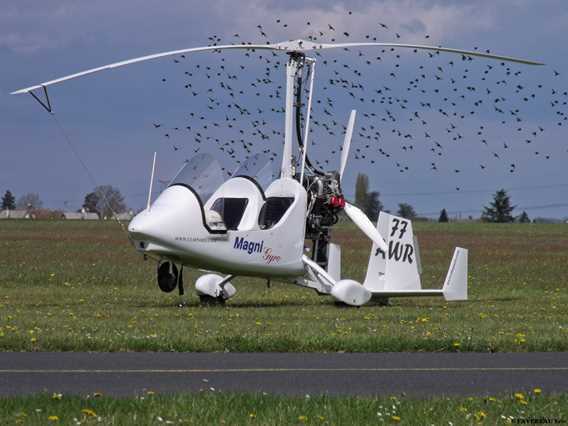 À Vol d'Oiseau