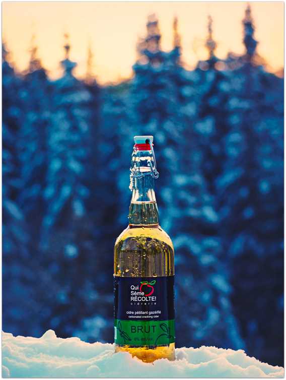 Cider Qui sème récolte!