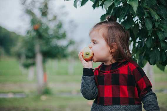 34/5000 Little girl eating an apple at Qui sème récolte!