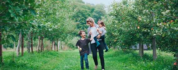 Family walking in the orchard at Qui sème récolte