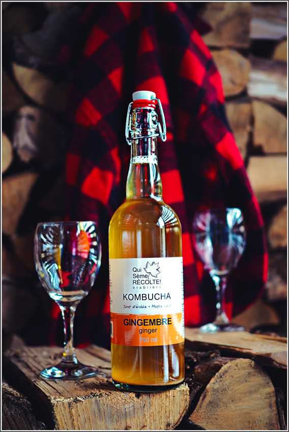 Ginger kombucha Qui sème récolte!