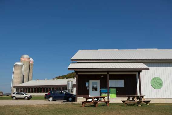 Ferme Vallée Verte