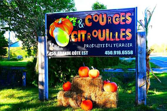 La brouette à légumes... citrouilles et sorcellerie