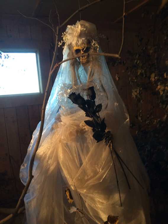 Witch at La brouette à légumes... citrouilles et sorcellerie