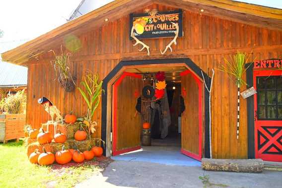 La brouette à légumes... citrouilles et sorcellerie