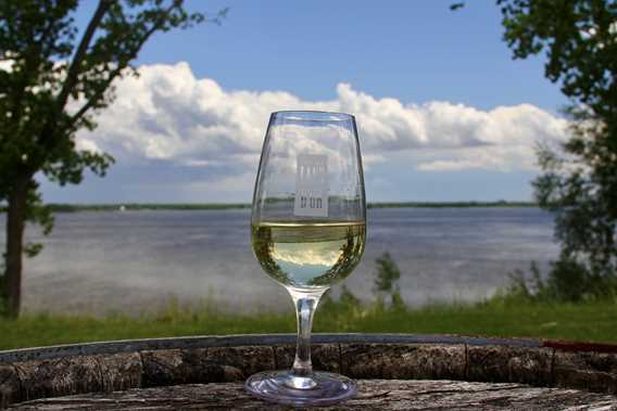 Vignoble Lano d'or