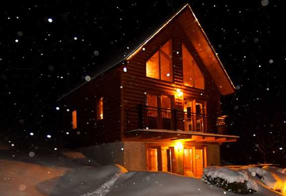 Winter night