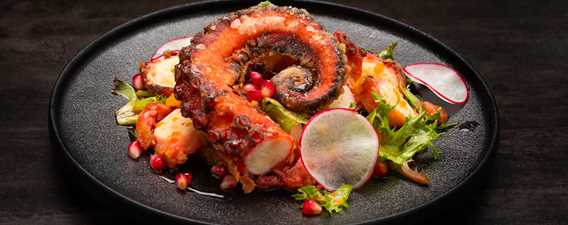 Octopus at Restaurant Table G