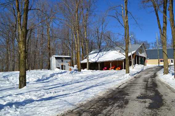 Cabane à sucre des Sportifs