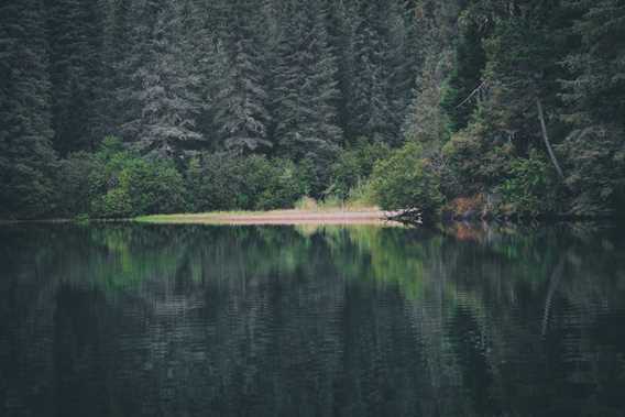 Les Sentiers du Lac en Coeur