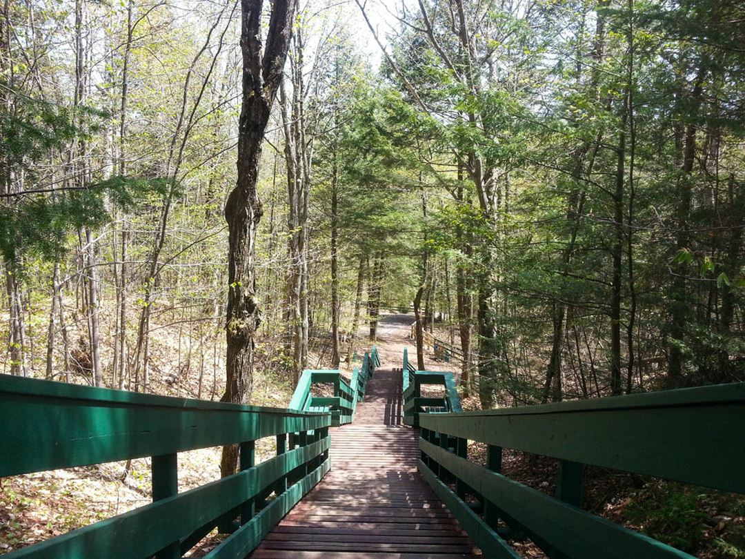 Parc régional des Chutes Dorwin