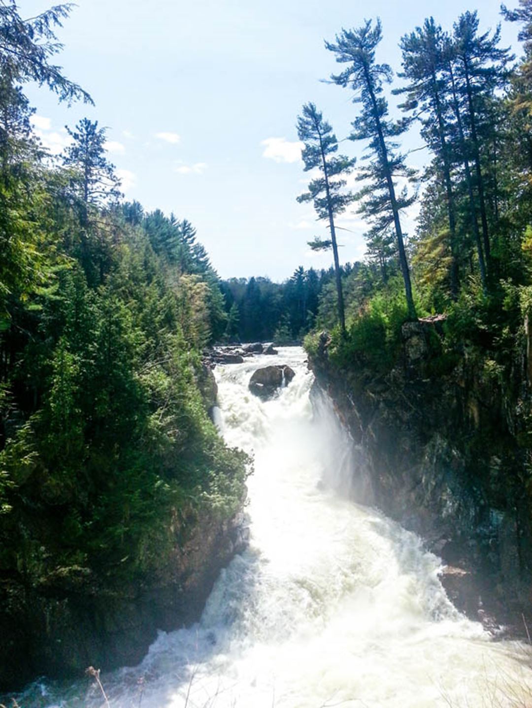 Parc régional des Chutes Dorwin