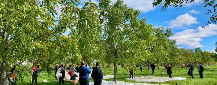 Jardin des Noix