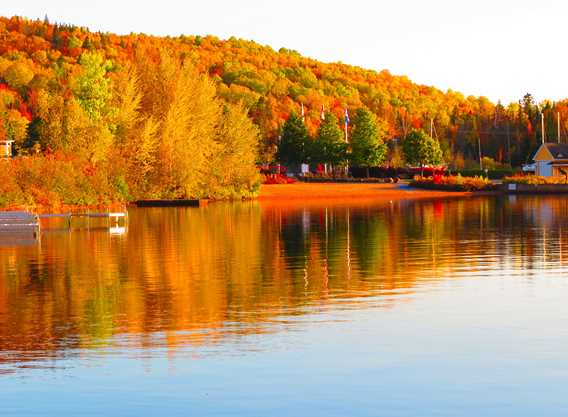 Paysage d'automne à Saint-Donat