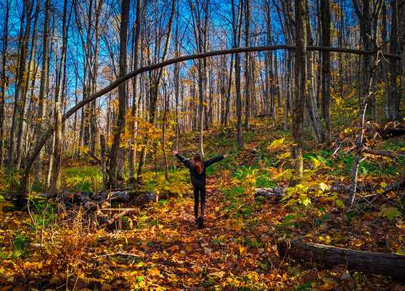 Randonnée pédestre en automne à Saint-Donat