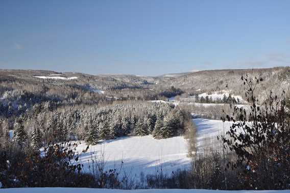 Ski Montagne coupée