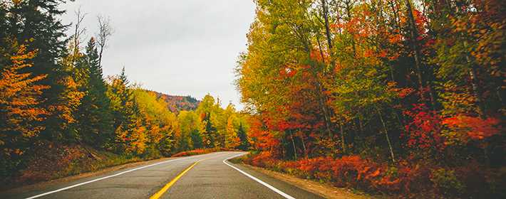 Route en automne
