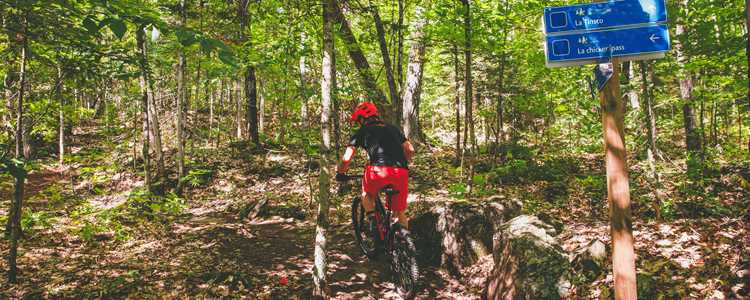 Vélo de montagne Tournée des cantons