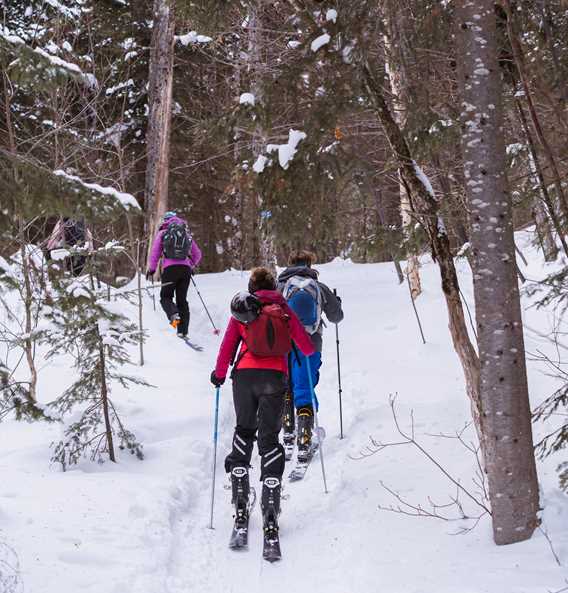 Ski de randonnée