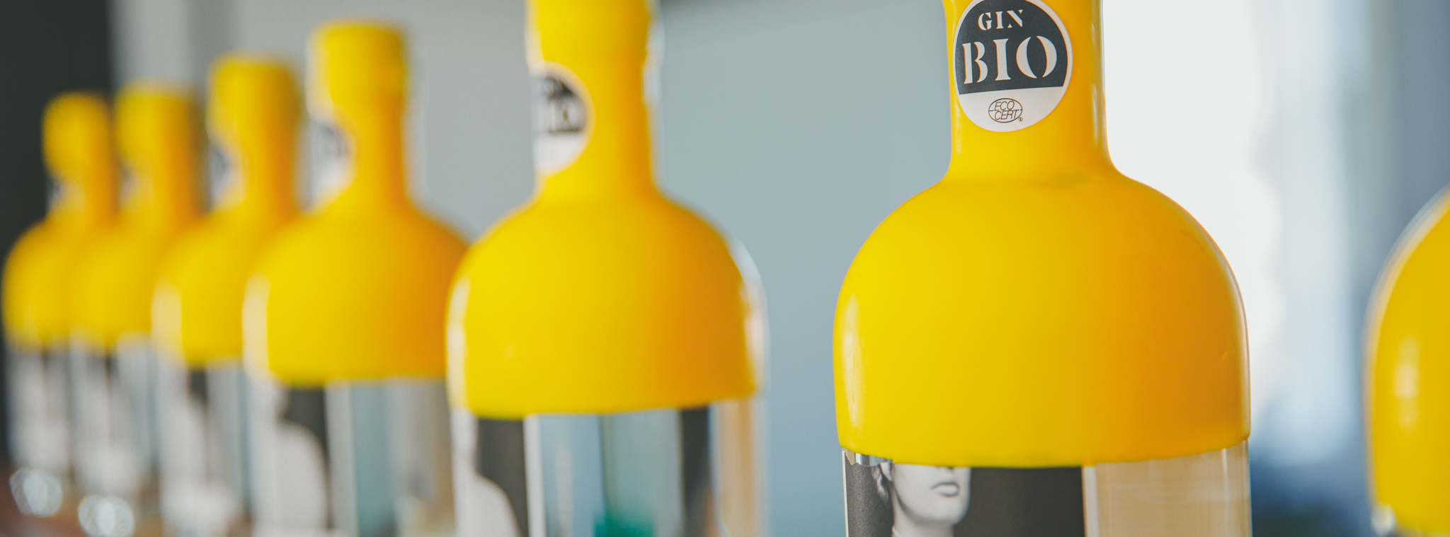 Distillerie Grand dérangement