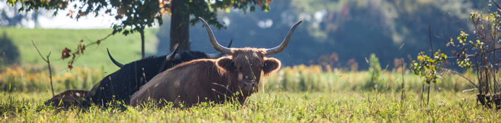 Visiter une ferme à Lanaudière