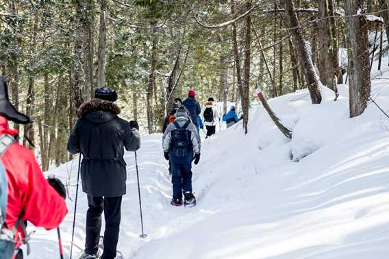 Snowshoeing on the trails of Regional Park of Forêt Ouareau