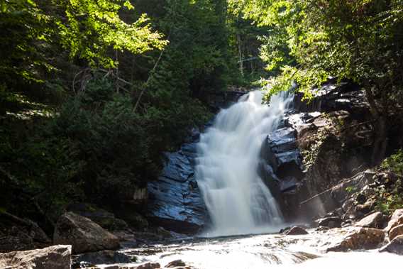 Waterfalls on Swaggin Trail