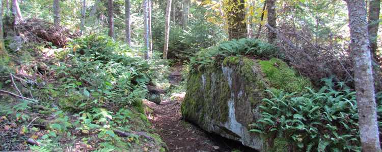 Trail le Cap de la Fée at Saint-Donat 