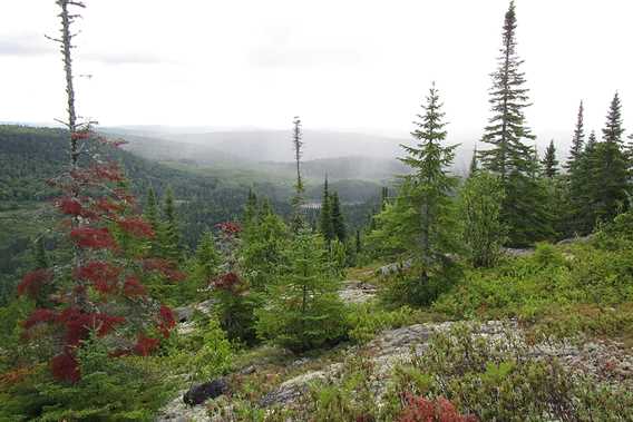 La vue au sommet à la Grande Boucle Zen Nature